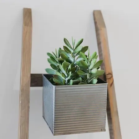 Casa Trinitaria Appartement *